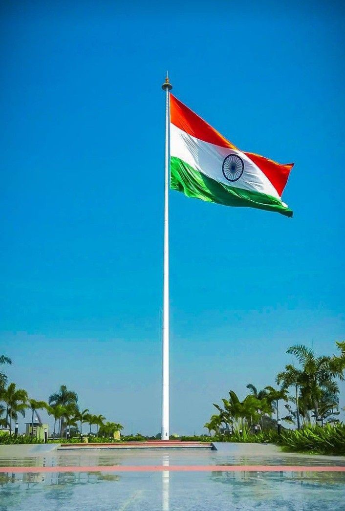 Indian Flag DP