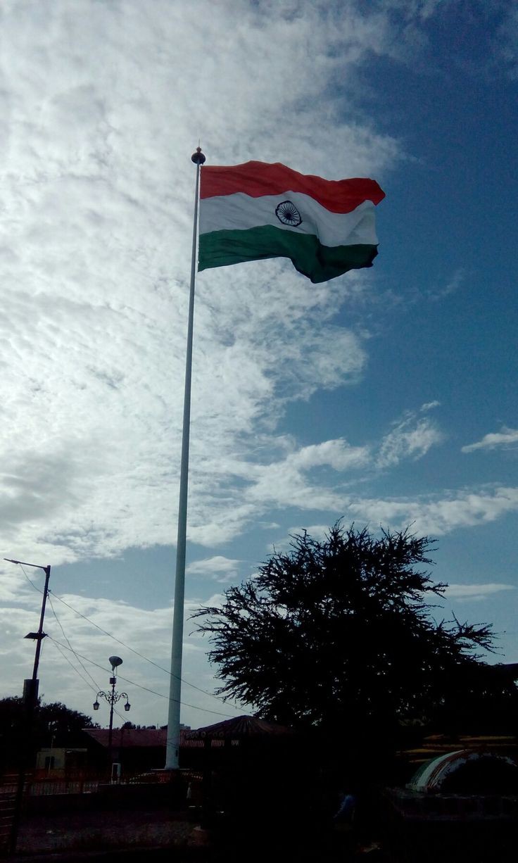 Indian Flag DP