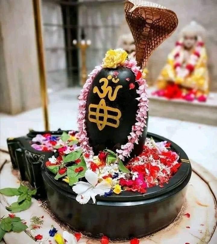 Original Shivling Images36