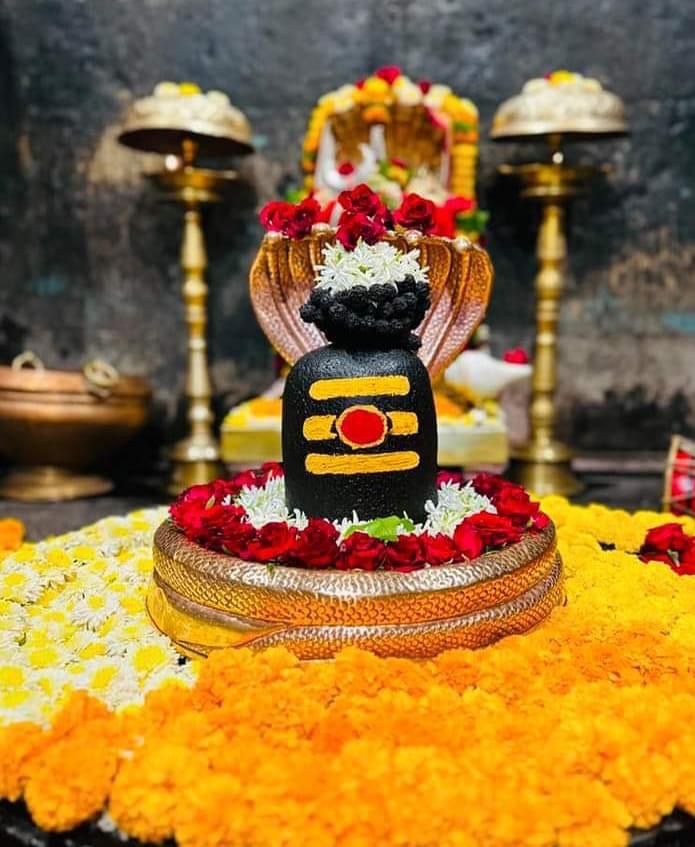 Original Shivling Images52