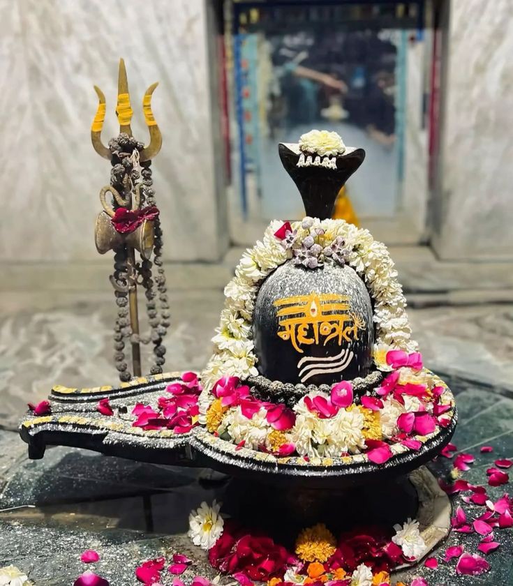 Original Shivling Images57