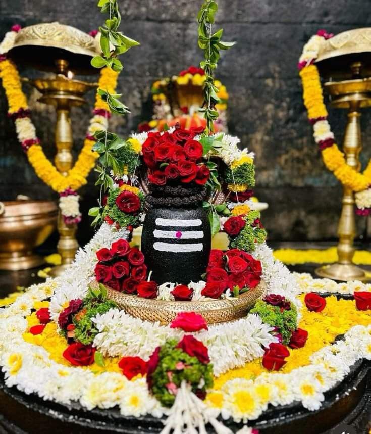 Original Shivling Images63