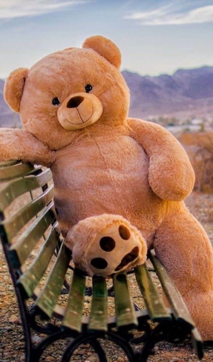 Teddy Bear Images