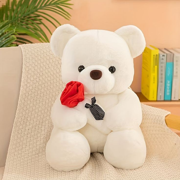 Teddy Bear Images