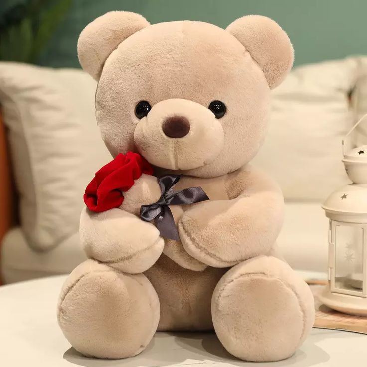 Teddy Bear Images