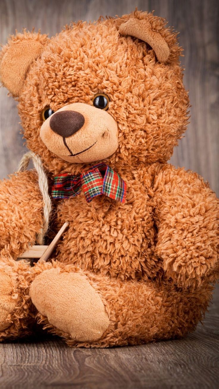 Teddy Bear Images