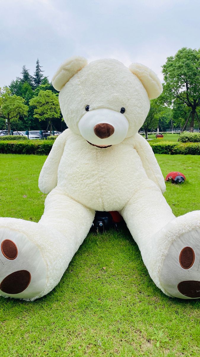 Teddy Bear Images