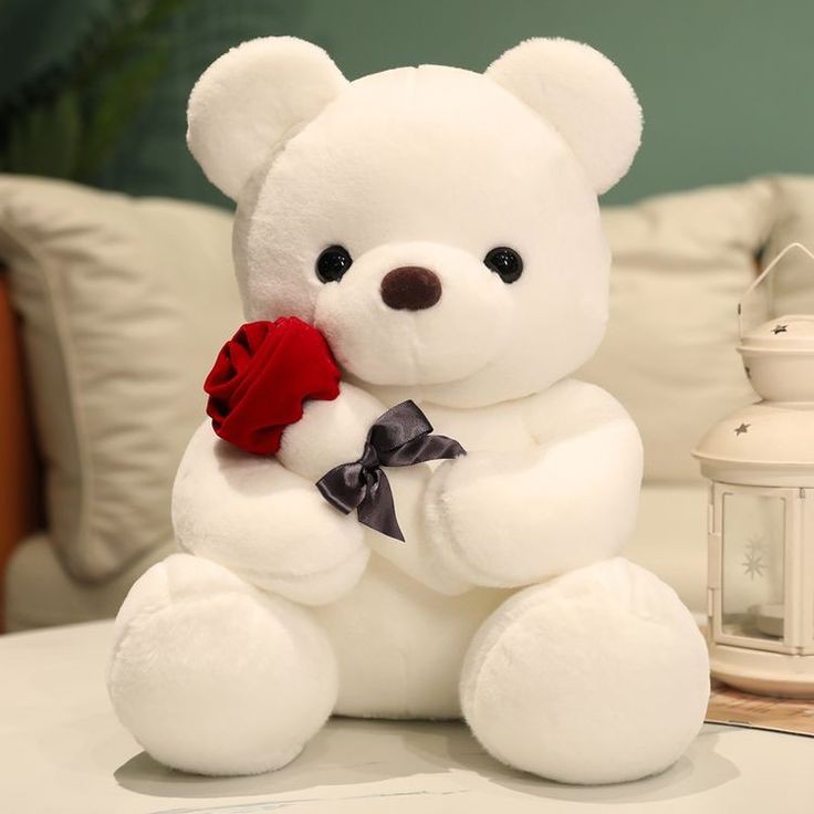 Teddy Bear Images