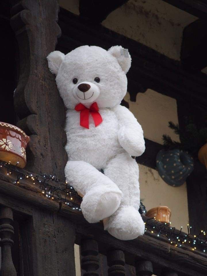 Teddy Bear Images