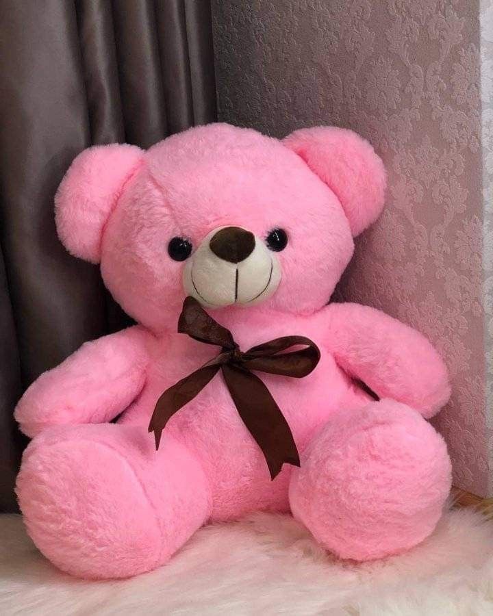 Teddy Bear Images