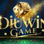 Diuwin Login – Access Anywhere, Anytime